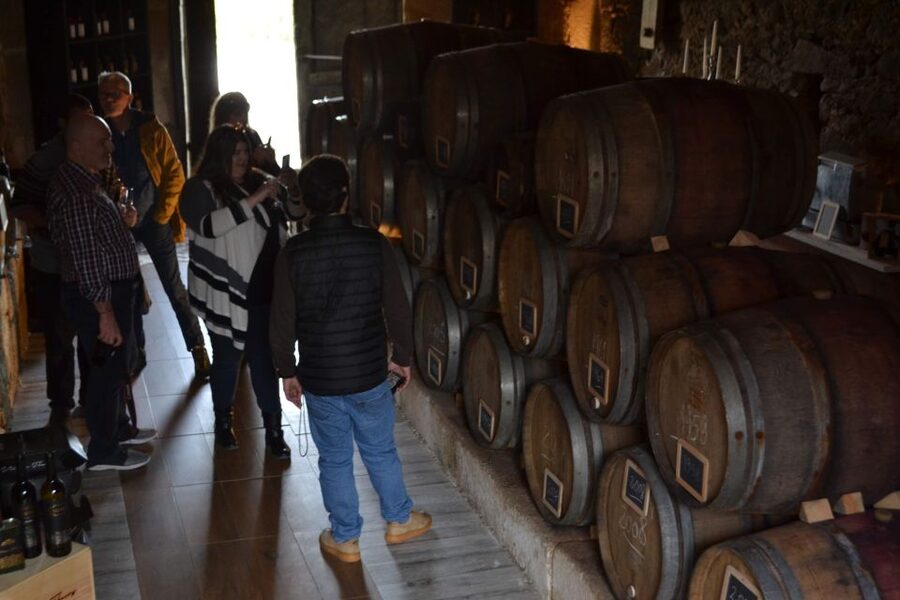Porto: Douro Valley Vineyards Tour with Lunch & River Cruise - Key points to know before booking