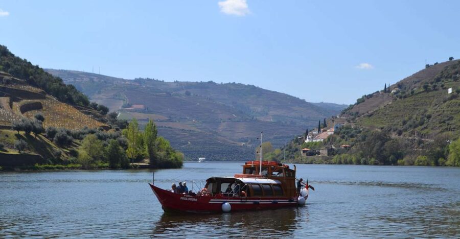 Porto: Douro Valley Vineyards Tour with Lunch & River Cruise - Pinhão and the Douro River cruise