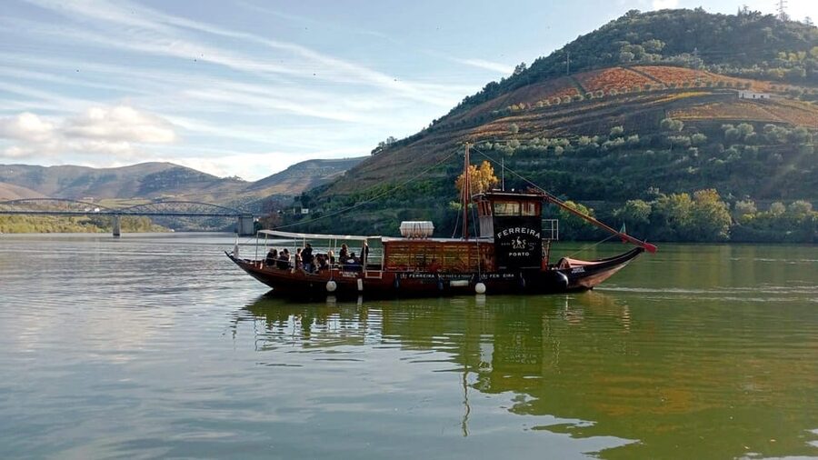 Porto: Douro Valley Vineyards Tour with Lunch & River Cruise - Who should book this Douro Valley tour?
