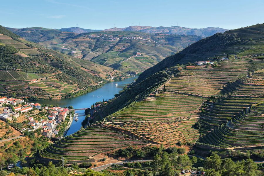 Porto: Douro Valley Wine Tour with a Sommelier & Boat Trip - At a glance