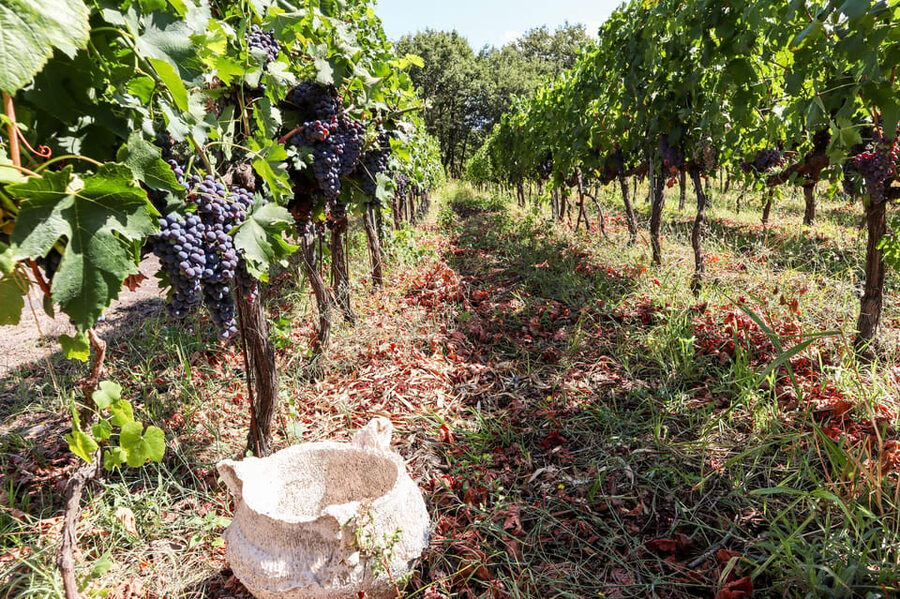 Porto: Douro Valley Wine Tour with a Sommelier & Boat Trip - Lunch and the Pinhão boat ride