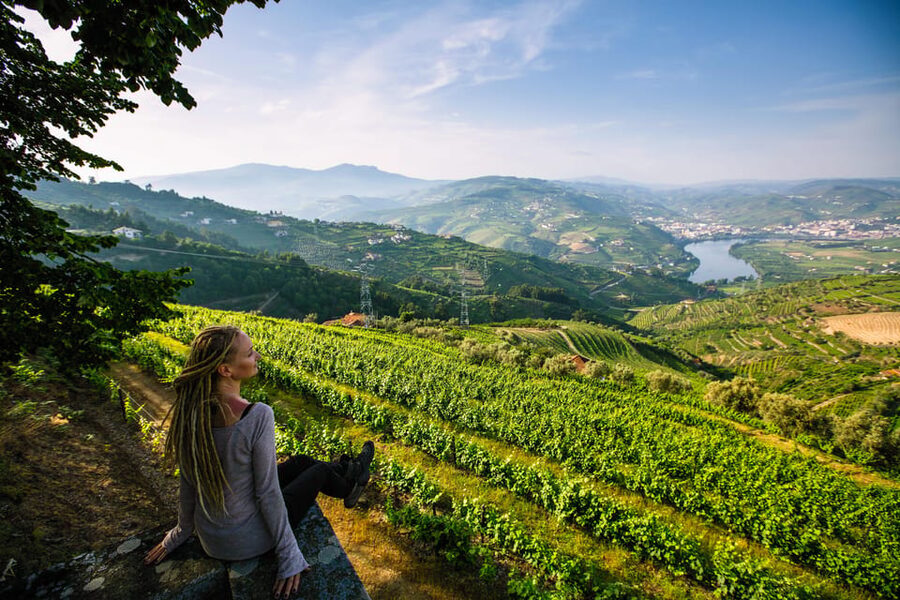 Porto: Douro Valley Wine Tour with a Sommelier & Boat Trip - Is $127 a fair price?