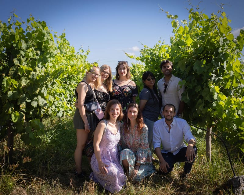 Porto: Douro Valley Wine Tour with a Sommelier & Boat Trip - Who should book it?