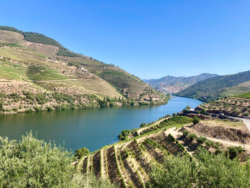 Porto: Douro Valley Wine Tour with Tastings, Boat, and Lunch - The first winery: Port, production, and valley views