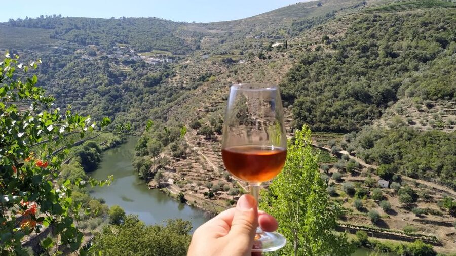 Porto: Douro Valley Wine Tour with Tastings, Boat, and Lunch - The return to Porto and the van question