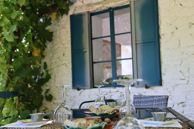 Porto: Douro Valley Wine Tour with Tastings, Lunch & Cruise - Is $113 a Good Value?