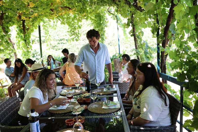 Porto: Douro Valley Wine Tour with Tastings, Lunch & Cruise - Inside the Winery: More Than a Tasting