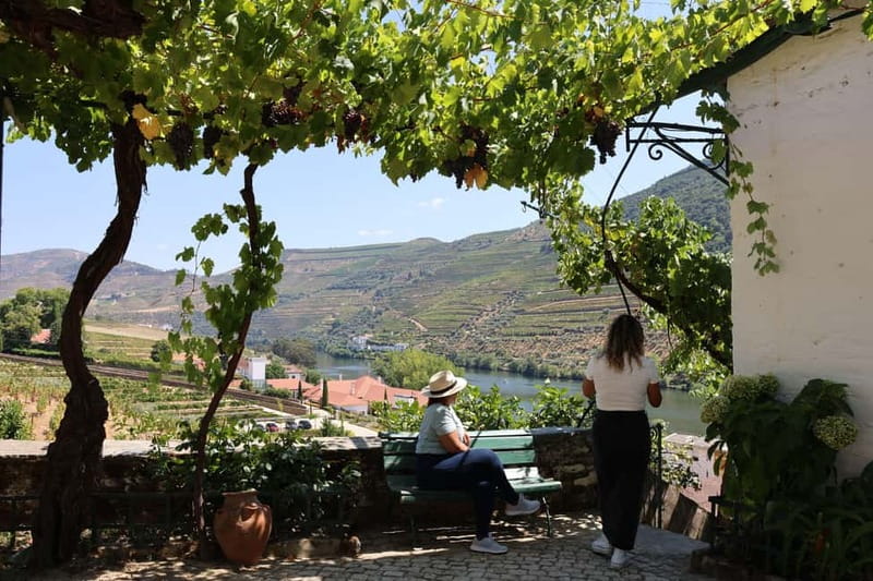 Porto: Douro Valley Wine Tour with Tastings, Lunch & Cruise - Guides Make or Break a Long Day