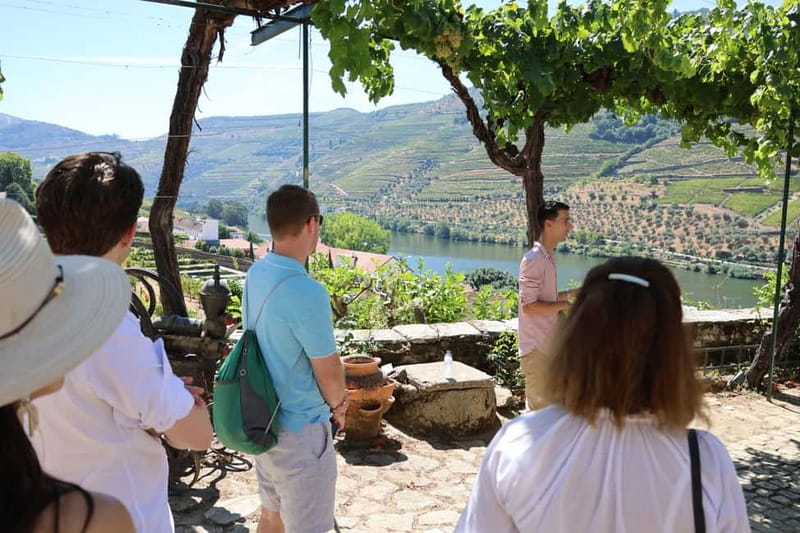 Porto: Douro Valley Wine Tour with Tastings, Lunch & Cruise - Who Will Get the Most From This Tour