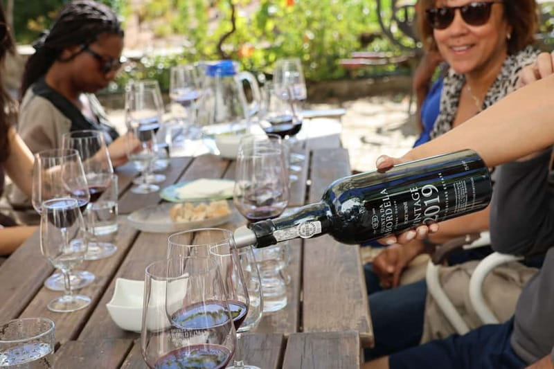 Porto: Douro Valley Wine Tour with Tastings, Lunch & Cruise - Choosing One Winery or Two
