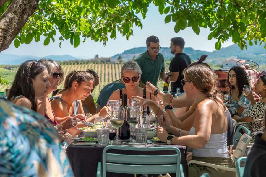 Porto: Douro Valley with Winery Lunch, Tastings & Cruise - What the $99 price really gets you