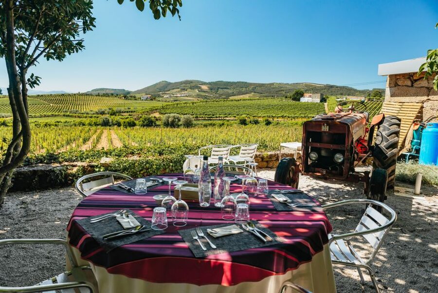 Porto: Douro Valley with Winery Lunch, Tastings & Cruise - The one-hour cruise is calm, scenic, and weather-dependent