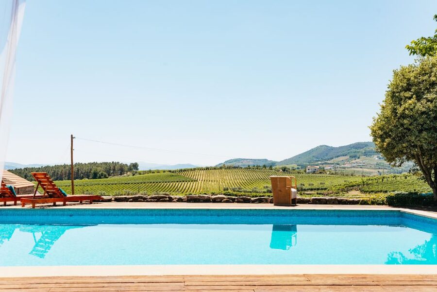 Porto: Douro Valley with Winery Lunch, Tastings & Cruise - The return via the N222 is part of the attraction