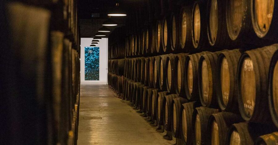 Porto: Guided Tour and Tasting of 3 Port Wines at Poças - Key points at a glance