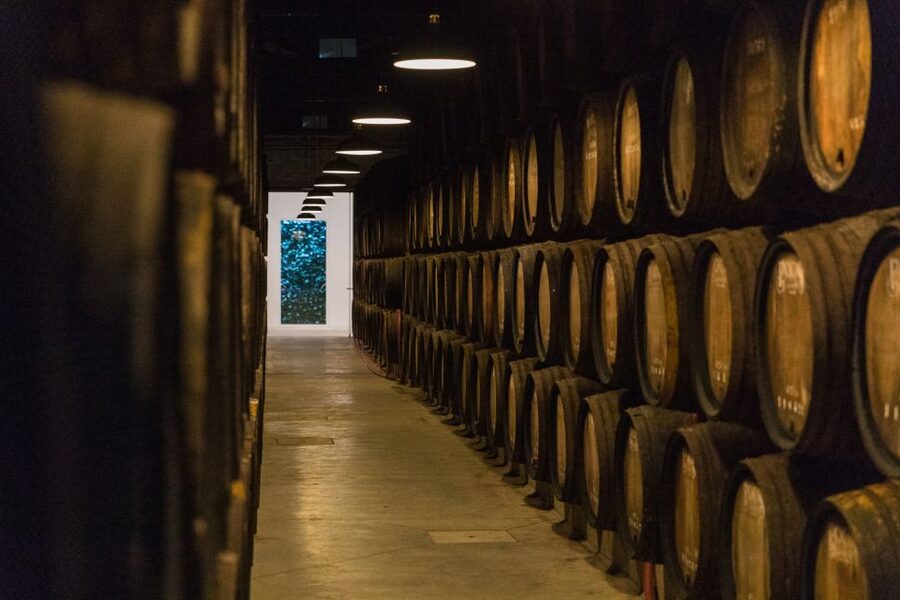 Porto: Guided Tour and Tasting of 3 Port Wines at Poças - Walking through the cellar and Port-making story