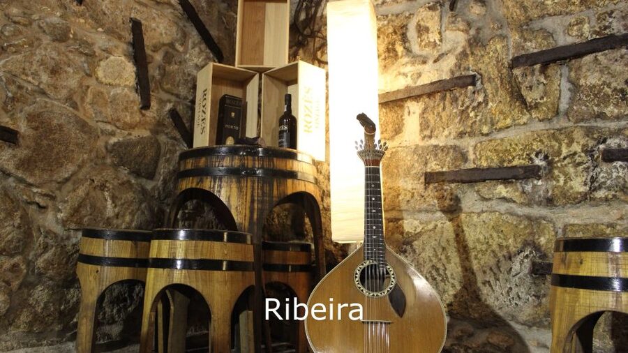 Porto: Live Fado Show with Glass of Port Wine - Who should book this experience?