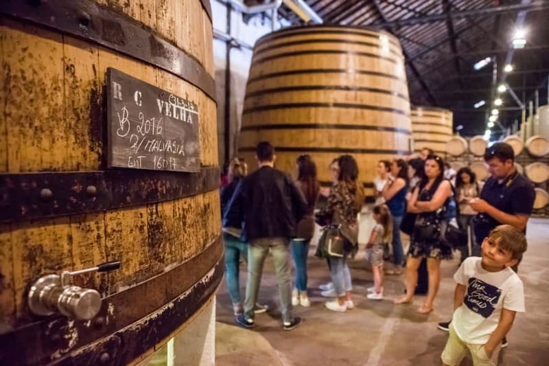Porto: Magic Train Tour and Port Wine Cellar with Tastings - The ride is fun, but expect Porto’s cobblestones