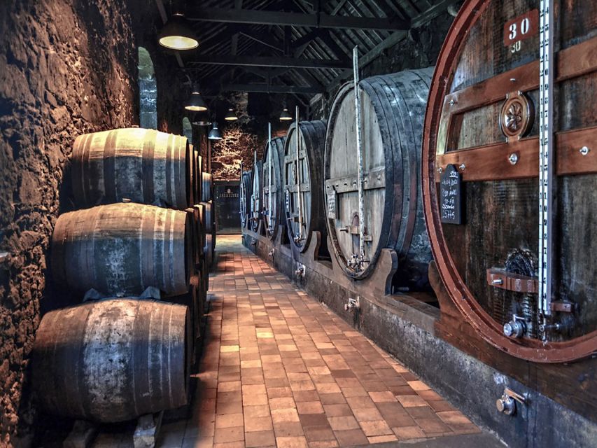 Porto: Self-Guided Bike and Boat Tour with Port Wine Tasting - Bikes, children, and practical comfort
