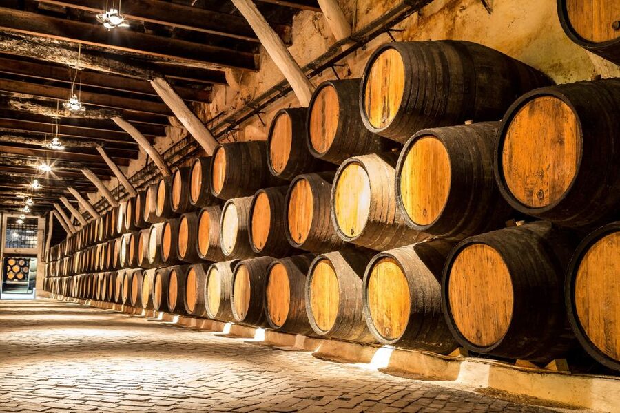 Porto: Tuk-Tuk Tour, Douro River Cruise, and Wine Tasting - Who will enjoy this experience most