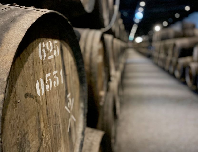 Porto: Wine Tasting with Tapas Walking Tour - Portuguese tapas, cheese, and codfish cakes