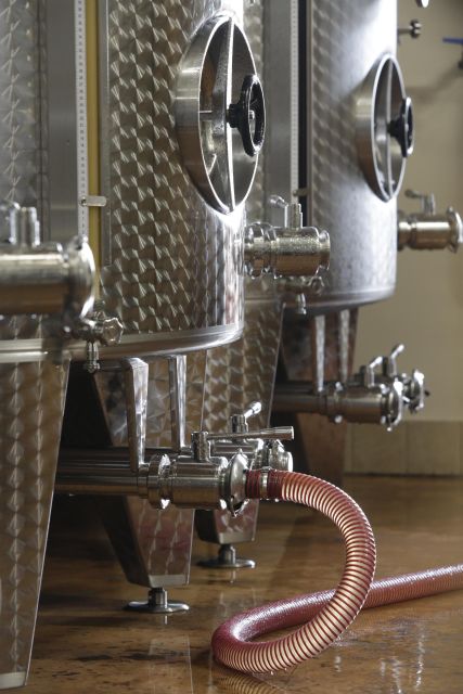Pramaggiore: Ornella Bellia Winery Guided Tour & Tasting - From the vineyards to the bottling room