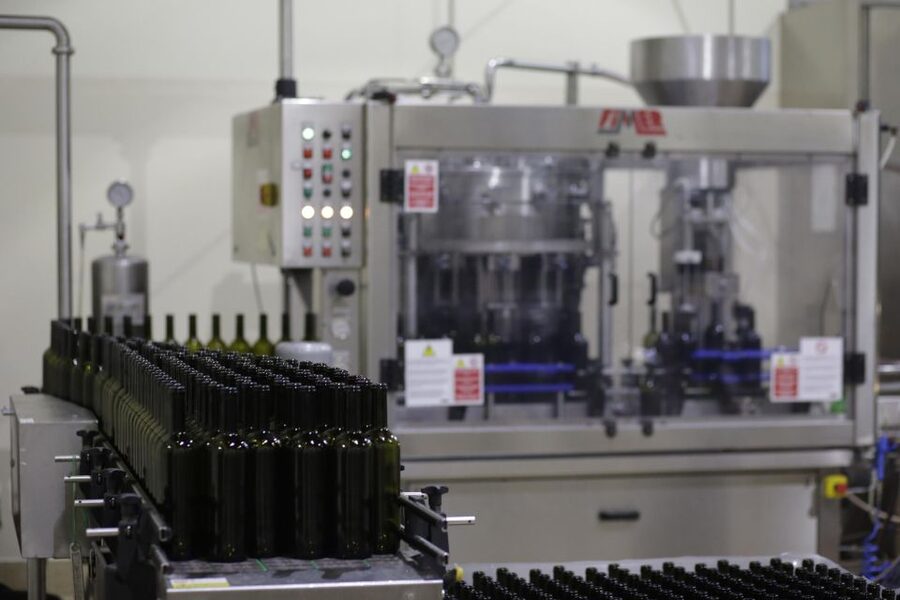 Pramaggiore: Ornella Bellia Winery Guided Tour & Tasting - Tasting four, six, or eight wines