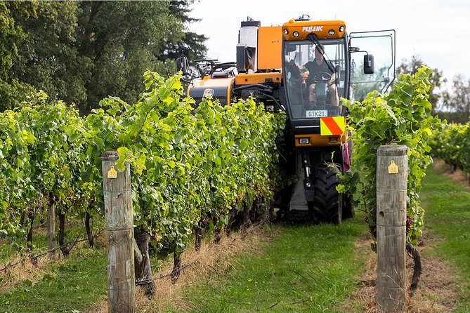 Premium 4 -Best Wineries Napier Hawke's Bay Tour, 5.5h - 6Hours - Key points at a glance