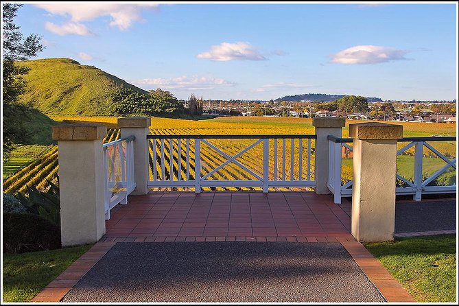 Premium 4 -Best Wineries Napier Hawke's Bay Tour, 5.5h - 6Hours - Four Hawke’s Bay wineries in one relaxed afternoon