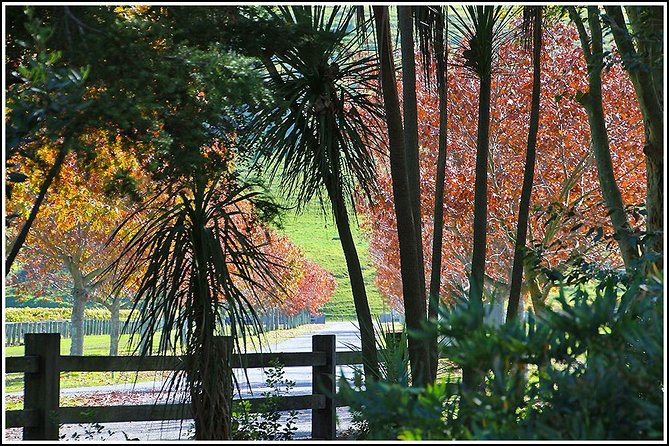 Premium 4 -Best Wineries Napier Hawke's Bay Tour, 5.5h - 6Hours - Price and overall value at $114.81