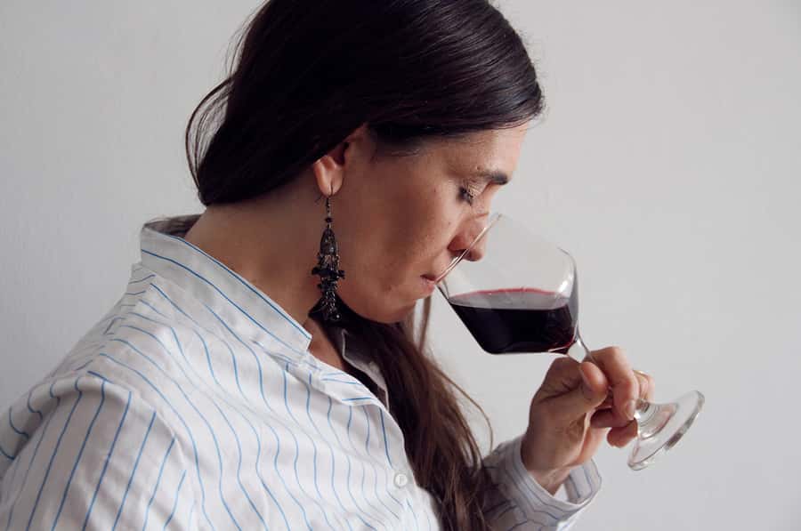 Premium Argentinian Wines and Malbec Tasting Experience - What Mendoza, Salta, and Patagonia add to the lesson