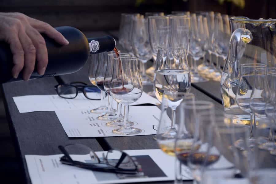 Premium Argentinian Wines and Malbec Tasting Experience - A relaxed class, not a winery visit