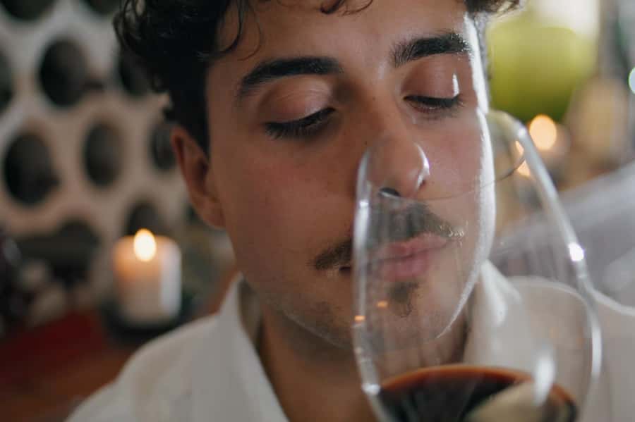 Premium Argentinian Wines and Malbec Tasting Experience - Should you book this Palermo wine tasting?