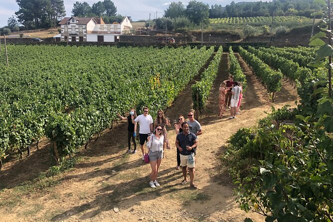 Premium Douro Valley Small-Group Tour, Wine Tasting, Lunch & Boat - Why this day works well from Porto