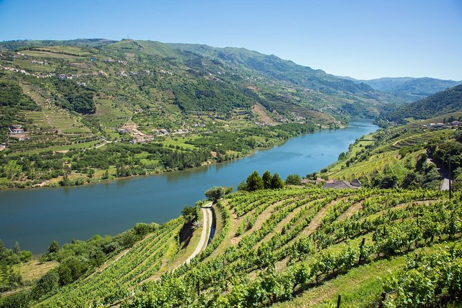 Premium Douro Valley Small-Group Tour, Wine Tasting, Lunch & Boat - Vilarinho de São Romão and local products