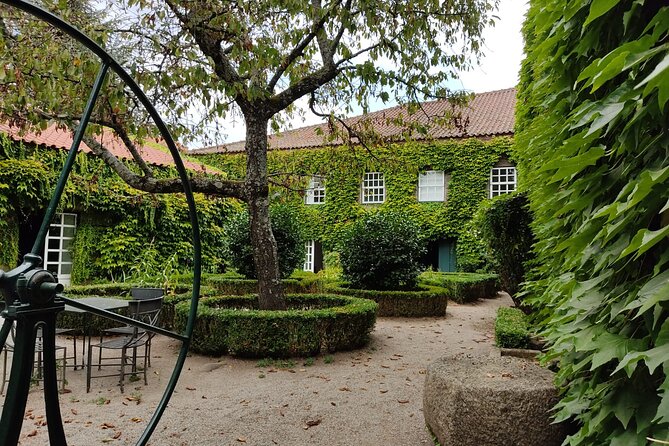 Premium Douro Valley Small-Group Tour, Wine Tasting, Lunch & Boat - The guides make a real difference