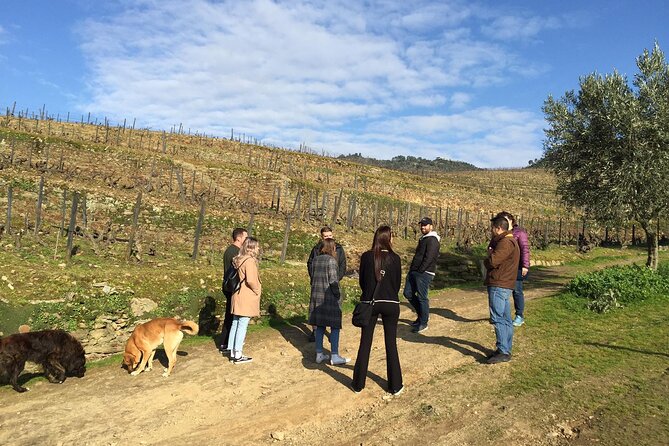Premium Douro Valley Small-Group Tour, Wine Tasting, Lunch & Boat - Pinhão, the river, and a wooden boat
