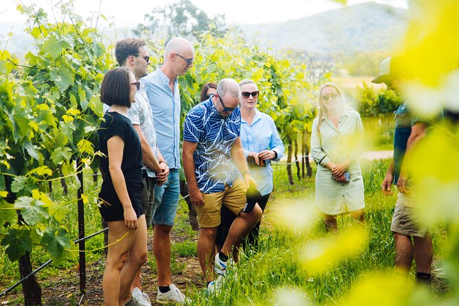 Premium Hunter Valley Wine Tour with Lunch from Sydney - What the €159.25 price includes