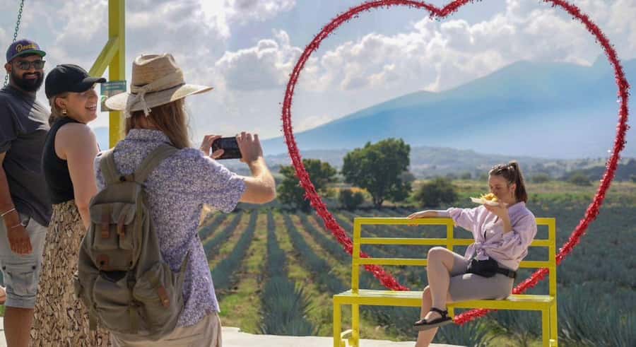 Premium Tequila Route with professional tasting - Why this tequila day trip offers good value at $52