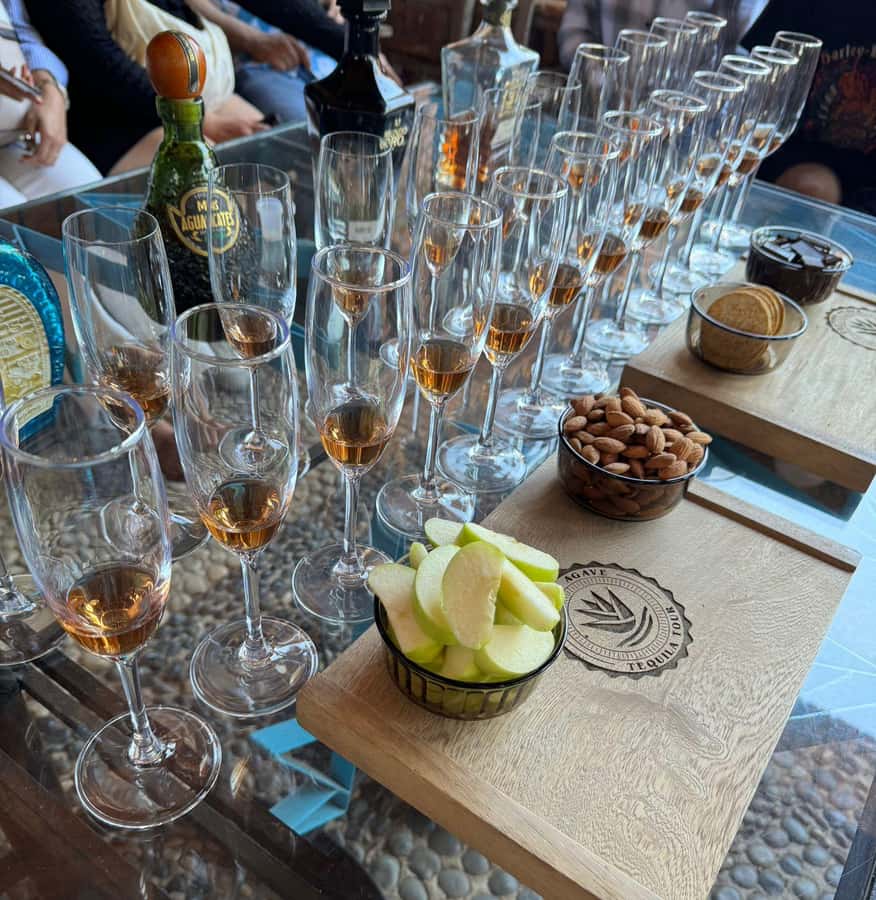 Premium Tequila Route with professional tasting - What the guide adds to the day