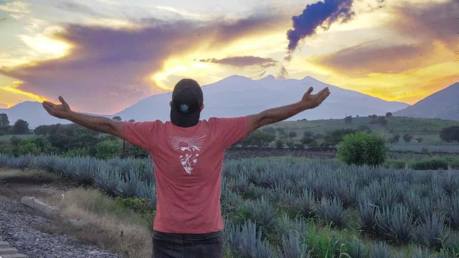 Premium Tequila Route with professional tasting - Who should book this tequila route?