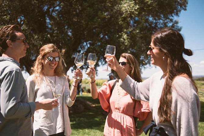 Premium Vineyard Tour & Tasting - A relaxed introduction to Algarve wine