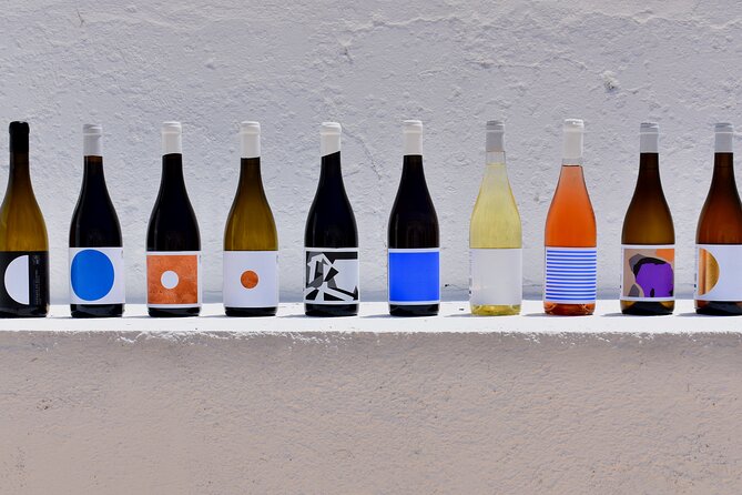 Premium Vineyard Tour & Tasting - Tasting four wines with Algarve cheese and charcuterie