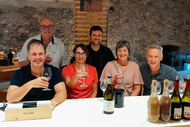 Priorat tour to 3 small wineries and hotel pick-up - Key points to know before you book