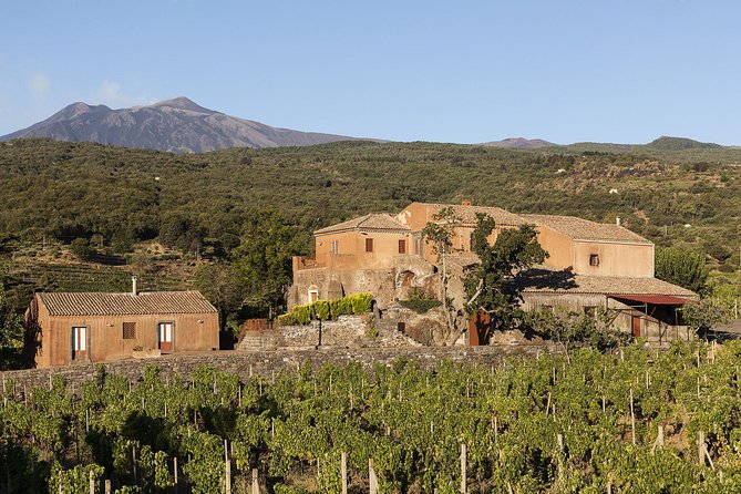 Private 6-Hour Tour of Three Etna Wineries with food&wine tasting - The guides are part of the experience