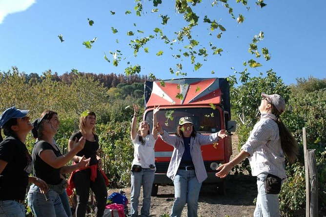 Private 6-Hour Tour of Three Etna Wineries with food&wine tasting - What the private price buys you