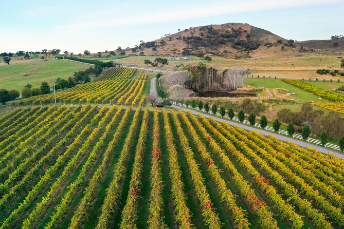 Private Canberra Winery Tour with lunch - Who will enjoy this tour most