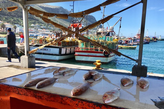Private Day Tour to Cape Point , Penguins, Wine or Beer Tasting - Boulders Beach and lunch near Simon’s Town