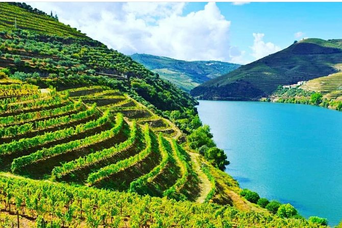 Private Douro Valley Food and Wine Tour From Porto - The road from Porto to Peso da Régua
