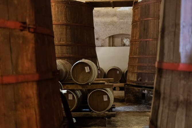 Private Food and Wine Tour in the Cellar with Tastings - The guides make a difference