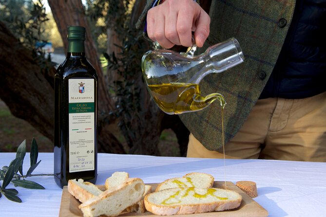 Private Food and Wine Tour in the Cellar with Tastings - Is $42.05 good value?